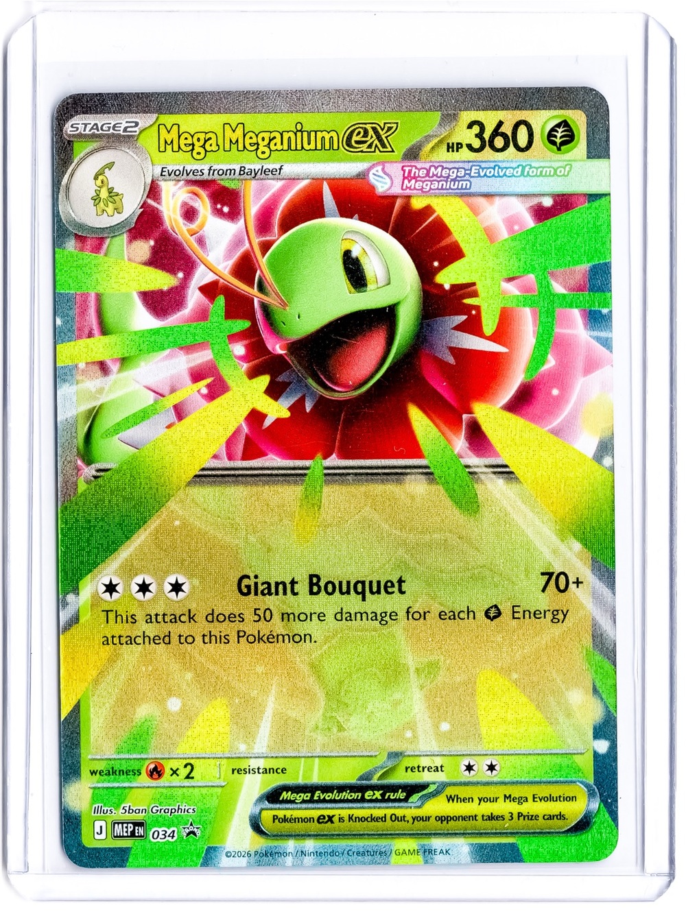 Mega Meganium 034 EX Mega Evolution Black Star Promo NM Pokemon Trading Card